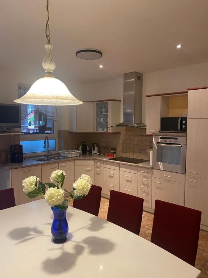 Ferienwohnung Mit Terrasse アウエ エクステリア 写真